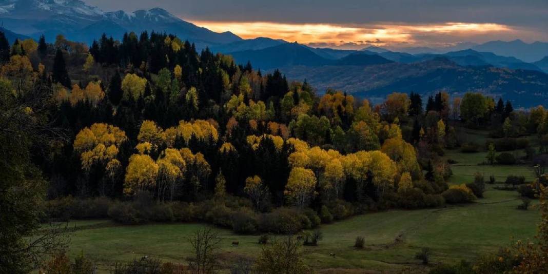Karadeniz'in yaylaları eşsiz görünümde! Şimdi keşfin tam zamanı: Bu hali ayrı cezbedecek 1